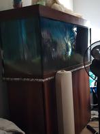 Te koop mooie aquarium, Dieren en Toebehoren, Vissen | Aquaria en Toebehoren, Ophalen, Zo goed als nieuw, Leeg aquarium