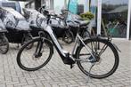 Pegasus Ravenna EVO 5 l Bosch Performance l 500wh l 55cm, Overige merken, Ophalen of Verzenden, Zo goed als nieuw, 50 km per accu of meer