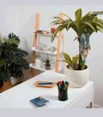 Nieuwe Automatische Planten Waterdruppelaar, Ophalen of Verzenden, Nieuw
