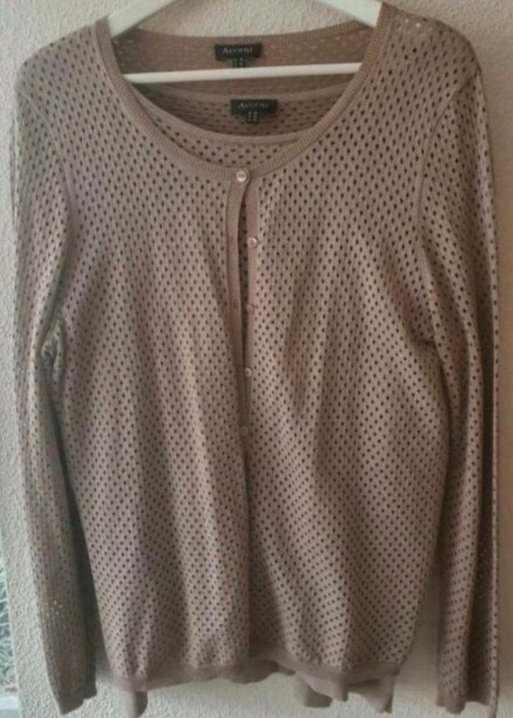 Accent twinset., Kleding | Dames, Truien en Vesten, Nieuw, Maat 42/44 (L), Bruin, Verzenden