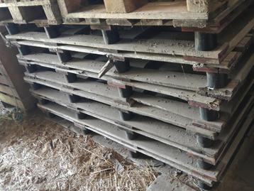 Grote pallets  - 5 euro per stuk - 115 cm X 163 cm beschikbaar voor biedingen