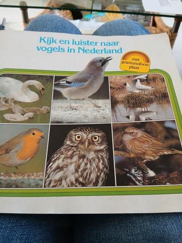 Kijk en luister naar vogels in Nederland + grammofoonplaat beschikbaar voor biedingen