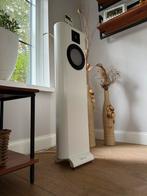 Accuton Daluso Dutch Statement XL, Audio, Tv en Foto, Luidsprekers, Zo goed als nieuw, 120 watt of meer, Front, Rear of Stereo speakers