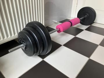 Halterstang met 10 gewichten 50 kg totaal. Lees en zie fotos beschikbaar voor biedingen