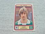 Panini Voetbal 80 C Steinvoort nr 195 Pec Zwolle, Verzamelen, Sportartikelen en Voetbal, Verzenden, Zo goed als nieuw, Overige binnenlandse clubs