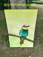 Acrylglas schilderij 80x120 bijeneter, Ophalen, Nieuw