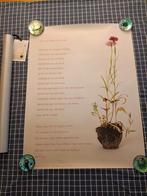 Plint Poëzie Poster - Hans Andreus Gedicht, Verzenden