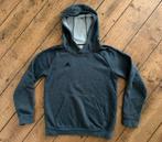Adidas hoodie trui grijs maat 152 jongen of meisje, Ophalen of Verzenden, Zo goed als nieuw, Jongen of Meisje, Trui of Vest