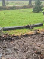 Gratis Biels, Doe-het-zelf en Verbouw, Hout en Planken, Ophalen, Gebruikt, 200 tot 250 cm, 50 mm of meer