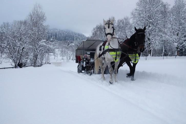 Eenzijdige sneeuwkettingen Loopvlak, Auto diversen, Sneeuwkettingen, Zo goed als nieuw, Verzenden