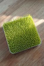 Afdruiprek 'gras' boon, Ophalen