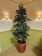 Bamboe kunstplant met terra pot, Huis en Inrichting, Ophalen, Nieuw, Binnen