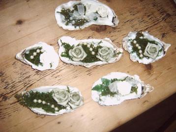 Opgemaakte schelpen beschikbaar voor biedingen