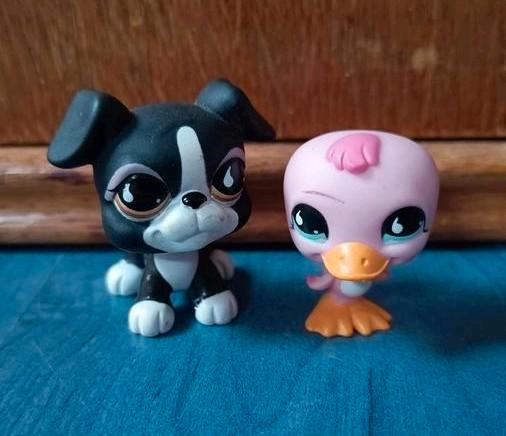Littlest Pet Shop pet pairs eend #825 + hond #826, Verzamelen, Dierenverzamelingen, Zo goed als nieuw, Beeldje of Figuurtje, Paard