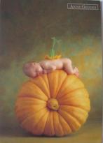 Anne Geddes nr. A015 1999 - Country Pumpkin - nieuw, Verzamelen, Ansichtkaarten | Themakaarten, Verzenden, 1980 tot heden, Ongelopen