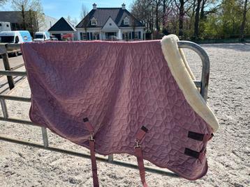 Kentucky show deken beschikbaar voor biedingen