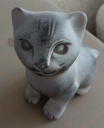 Grijze kat  beschikbaar voor biedingen