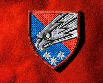 Oekraïne patch 25th Separate Airborne Brigade Ukraine beschikbaar voor biedingen