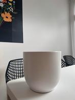 Intratuin Every Days Potten - Wit & Groen (4 stuks), Ophalen, Gebruikt, Rond, Binnen