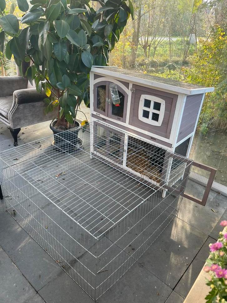 2 prachtige konijnen met hok en ren, Dieren en Toebehoren, Konijnen, Mannelijk, 0 tot 2 jaar