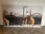 Schilderij Taronga Zoo Sydney, Huis en Inrichting, Ophalen, 50 tot 75 cm, 125 cm of meer, Zo goed als nieuw