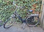 Van Limpurg Plaza Damesfiets, Versnellingen, Ophalen, Overige merken, 53 tot 56 cm