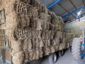 Gedorsen hooi beschikbaar voor biedingen
