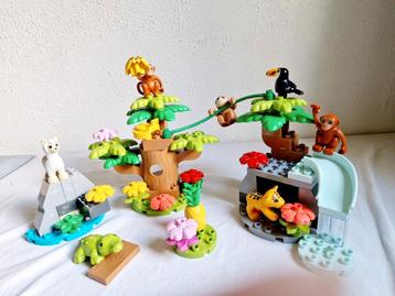 Duplo set 10973 Dieren van Zuid Amerika compleet beschikbaar voor biedingen