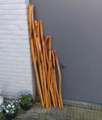 Wandelstok Steunstok 90-150 Wandelen Schoenen Route Kado, Ophalen of Verzenden, Verstelbaar, Nieuw