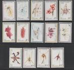 C34 Vanuatu 621/24 postfris Bloemen / Orchideen, Verzenden, Postfris, Dier of Natuur