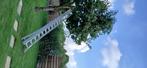 Lange ladder (3 delen - elk deel = 4 meter), Doe-het-zelf en Verbouw, Ladders en Trappen, Ophalen, Ladder, Opvouwbaar of Inschuifbaar