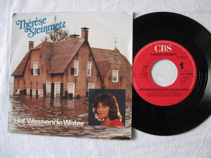 Thérèse Steinmetz - Het Wassende Water, Cd's en Dvd's, Vinyl Singles, Gebruikt, Single, Nederlandstalig, 7 inch, Ophalen of Verzenden