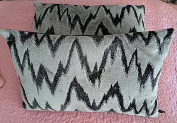 Sierkussens - Set van 2 van Claudi. beschikbaar voor biedingen