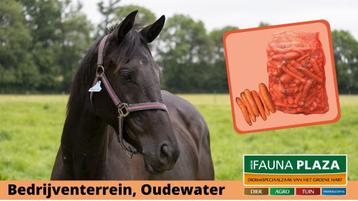 voerwortel, paardenvoer, dekens,vlas, houtvezel enz enz beschikbaar voor biedingen