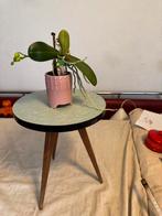 Plantentafeltje,fifties,sixties,Rockabilly, vintage, Ophalen of Verzenden