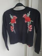 Geweldige sweater trui met bloemen stiksel borduursel, Ophalen of Verzenden, Gebruikt, Meisje, Trui of Vest
