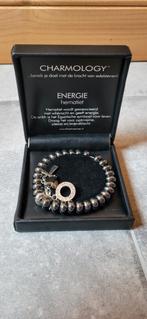 Charmology Hematiet Armband met Bedels, Overige materialen, Met edelsteen, Nieuw, Ophalen of Verzenden
