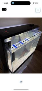 superfish aquarium 80 L, Dieren en Toebehoren, Ophalen, Zo goed als nieuw