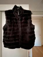 Bodywarmer, hesje, Zwart, Maat 42/44 (L), Ophalen of Verzenden, Gedragen
