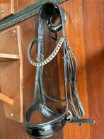 Te koop stang en trens hoofdstel full, Ophalen of Verzenden, Gebruikt, Dressuur