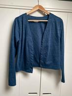 Blauw glitter jasje / vestje City Life - kerst Maat M, Kleding | Dames, Truien en Vesten, Ophalen of Verzenden, Zo goed als nieuw