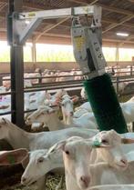 Wellbrush de Geitenborstel voor het dierwelzijn!, Geslacht onbekend, Geit