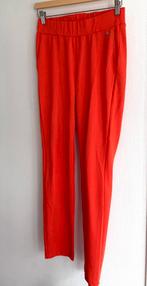 BR&DY leuke dames tregging / broek ( maat S, Oranje, Ophalen of Verzenden, Zo goed als nieuw, Maat 36 (S)