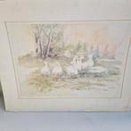 Awieringa Print - Eenden in Landschap, Antiek en Kunst, Kunst | Etsen en Gravures, Ophalen of Verzenden