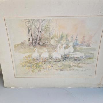Awieringa Print - Eenden in Landschap beschikbaar voor biedingen