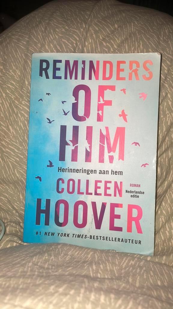 Reminders of him, Boeken, Romans, Zo goed als nieuw, Ophalen of Verzenden