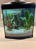 Compleet aquarium 30liter, Dieren en Toebehoren, Vissen | Aquaria en Toebehoren, Ophalen, Gebruikt, Leeg aquarium