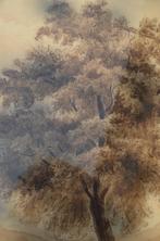 Duitse boom aquarel?, Antiek en Kunst, Kunst | Schilderijen | Klassiek, Ophalen of Verzenden