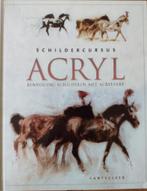 Schildercursus Acryl, Ophalen of Verzenden, Gelezen, Tekenen en Schilderen