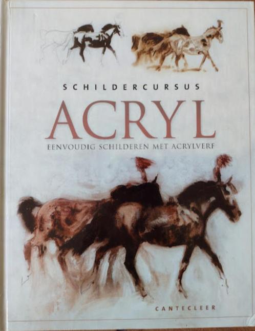 Schildercursus Acryl, Boeken, Hobby en Vrije tijd, Gelezen, Tekenen en Schilderen, Ophalen of Verzenden